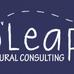 Co. Leap – Consulting